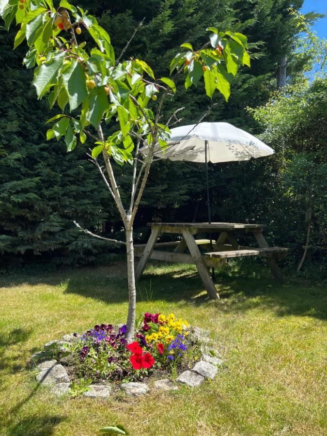 New Forest Hideaway- Self Catering Accommodation Newbridge  Dış mekan fotoğraf
